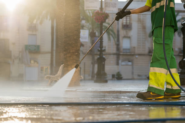 Boat and Dock Cleaning in Pine Hills, CA